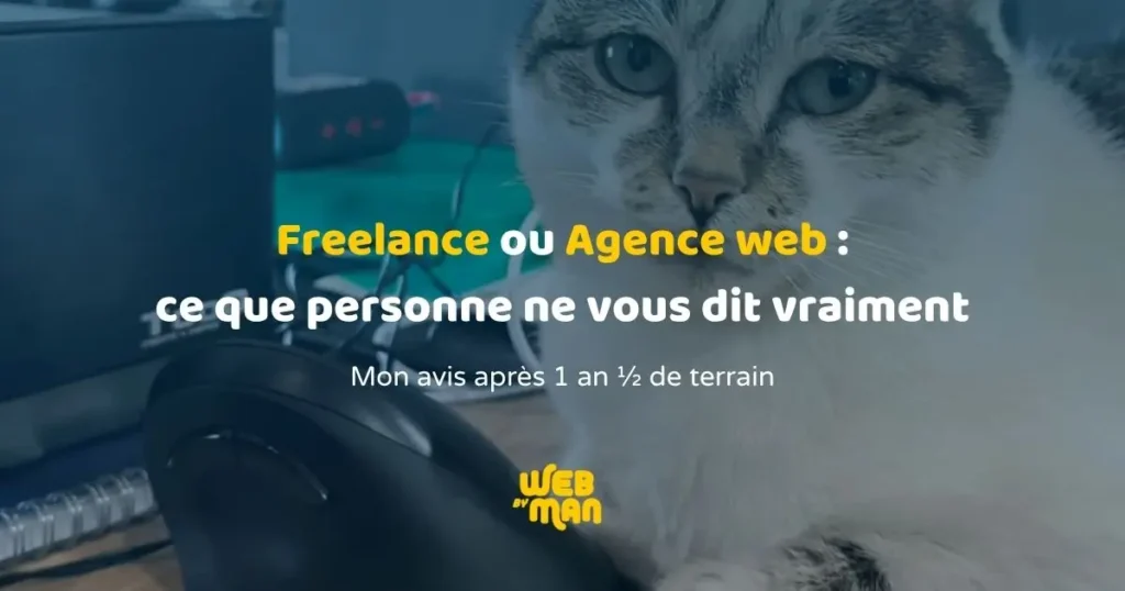freelance ou agence web choix création site